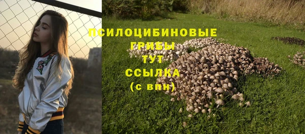 соль курить ск Алексеевка