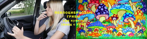 соль курить ск Алексеевка